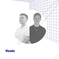 Vicada